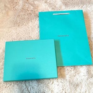 Tiffany & Co gift box and gift bag